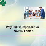 Why HRIS is important for Your business?