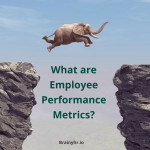 What are Employee Performance Metrics?